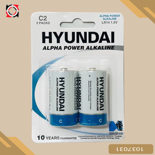 باطري متوسط هيونداي ALPHA POWER کارتي 2 عددي