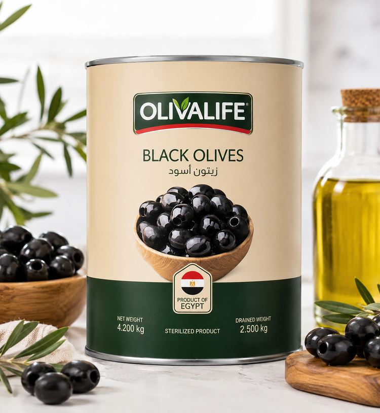 زیتون سیاه حلب OLIVALIFE مصری ۴۲۰۰ گرم